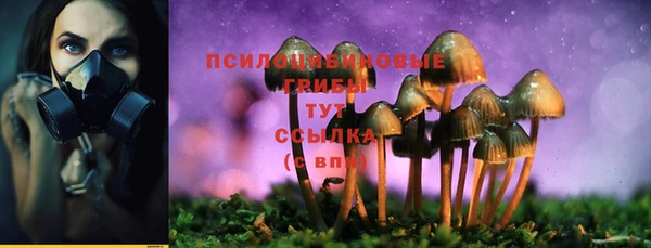 a pvp Сосновка