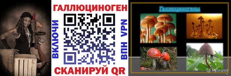 Псилоцибиновые грибы Cubensis  что такое наркотик  Тамбов 
