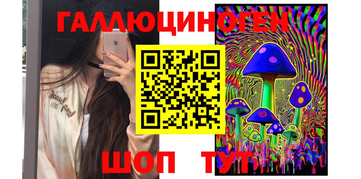 Псилоцибиновые грибы Psilocybine cubensis Тамбов
