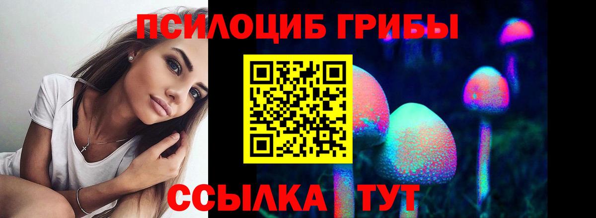 Псилоцибиновые грибы Magic Shrooms  как найти наркотики  Псилоцибиновые грибы Psilocybine cubensis  Тамбов  Вход с VPN 